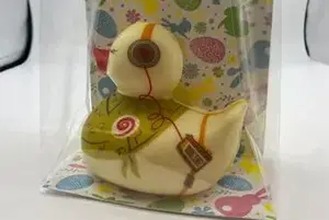 Canard
