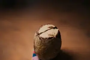Œuf glacé chocolat au lait et glace pistache et praliné pistache