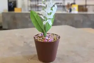 Pot de Muguet chocolat au lait